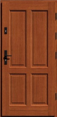 Деревянная входная дверь для частного дома DOCTUS