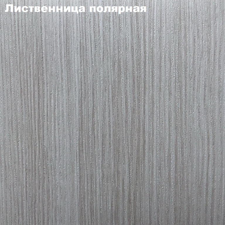 Лиственница полярная.png