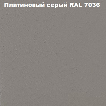 Платиновый серый RAL 7036 2.png