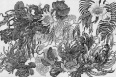 BOTANICA
