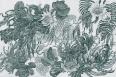 BOTANICA