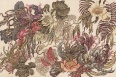 BOTANICA
