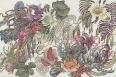 BOTANICA