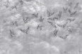 AVIAN