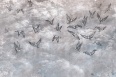 AVIAN