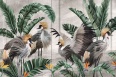 CABIRD