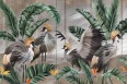 CABIRD