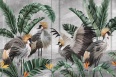 CABIRD
