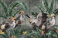 CABIRD