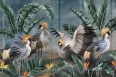 CABIRD