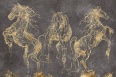 CAVALLO