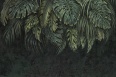 BOTANY