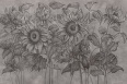SOLEA