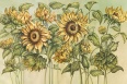 SOLEA
