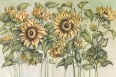 SOLEA