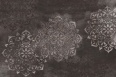 ZENDALA