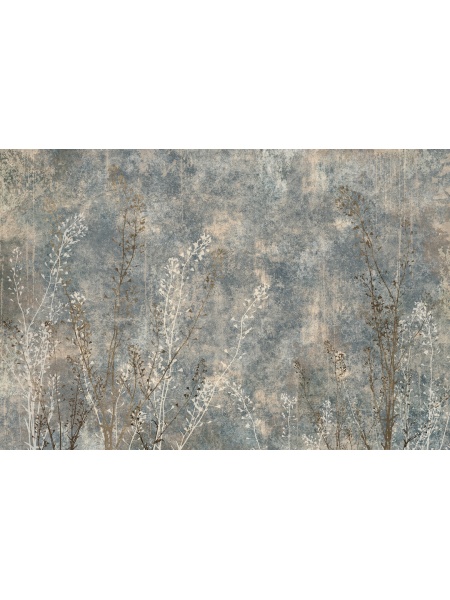 ASTER