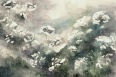 MISTY